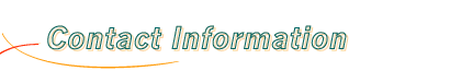 [Contact Information]